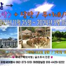 광주동양여행사 이미지