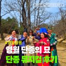 단종로 | 단종묘 장릉 영월여행 무료 뮤지컬까지 보고 온 솔직후기