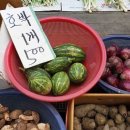 송현시장 이미지