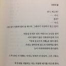 자매 관계성 바이럴되는 글 이미지