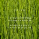 초민한의원 이미지