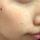 산뜻하개 이미지