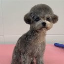 러브몽먼트 이미지