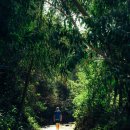 한-베트남  문화예술교류 | 베트남 세 도시 여행 달랏, 무이네, 호치민