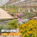 옹기사랑 꽃사랑 | 용인 남사화훼단지 에르베플라워아울렛 화분 꽃구경 쇼핑