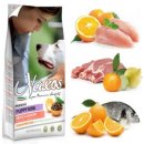 애니티코리아 이미지