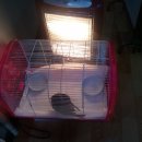 분당에덴동물병원 이미지