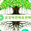 한국체대 점프 태권도장 | #삼산동 한국체대 점프태권도장 #태권도 합기도 복싱 주짓수 유도 킥복싱 관공서 체육실 체육관 바닥...