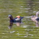 화북면보건지소 이미지