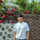 정해인 카카오 검색결과