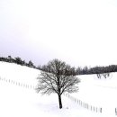 안반데기 목장 이미지