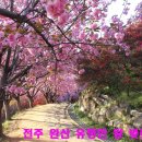 완산-17 이미지