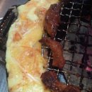신마포갈매기 이미지