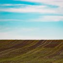 이루농장 이미지