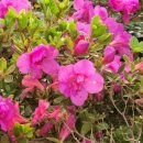 운성농장 이미지