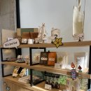 진주 카페 &lt;타타스베이글 진주점&gt; 베이글 맛집 카페 후기(+실내 애견동반가능)