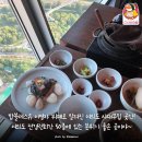 블래스유