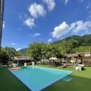 아일랜드코쿤 이미지