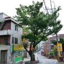 양천구 사회적경제지원센터 | [서울시 양천구 복지정책] 저소득층·장애인·청년 맞춤형 지원 11가지 핵심 제도