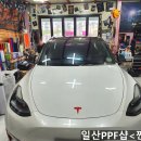 찐랩 - 양주시 청담로84번길 109-9 | 일산PPF샵<찐랩> 테슬라 모델 Y 열 차단 루프(천장) PPF 시공