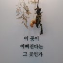 호감헤어샵 이미지