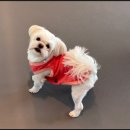 광안유치원 이미지