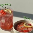 노머트 이미지