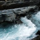 파라다이스스파도고캠핑장 이미지