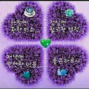 청양친환경블루베리농장 이미지