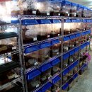 지호농장 이미지