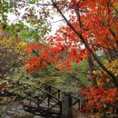 노고단-3 이미지