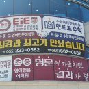 멘토르최강의영어학원
