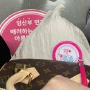 [출산 선물] 루이비통 스피디 반둘리에20🔐✨ 더현대 서울 구매 후기(+이너 백 추천)