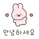 새벽회세종 이미지