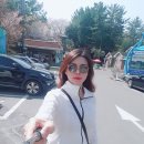 나리김밥 이미지