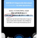 열쇠닥터 네이버블로그