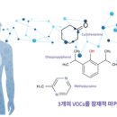 이씨디 이미지