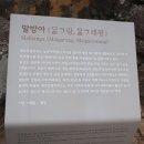 정의현 객사 전패 | 제주 성읍민속마을 탐방 2023.03.30