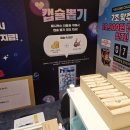 뽑기뽑기 | 해시박스 몬스터 온라인 랜덤박스 뽑기 가챠 후기 청주 현대백화점