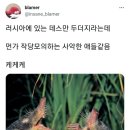 러시아 소설 덕후의 러시아 소설 요약 이미지