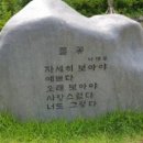 풀꽃 시인 나태주 인터뷰 이미지