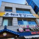 은행나무갈매기 이미지