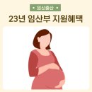 2023년 임산부 지원혜택 12가지