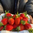 명호공주얼큰이칼국수.쭈꾸미 이미지