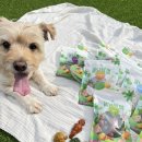 개님의상점 이미지