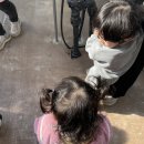 킴스베리 이미지