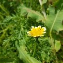 가야대학교생활관 이미지