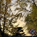 베스트인시티호텔2 이미지