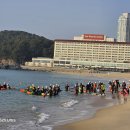 북극곰 축제 &amp; 겨울바다1Km 동행수영 이미지