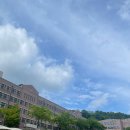 &lt;교육 후기&gt; 모의 직장생활: 리더십-팔로워십 워크숍
